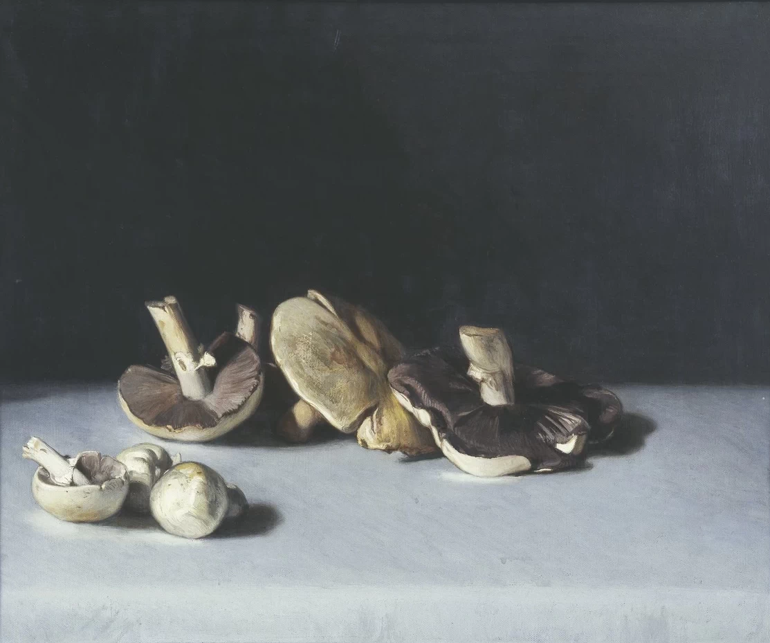 Funghi - Hallwylska museet, Stoccolma